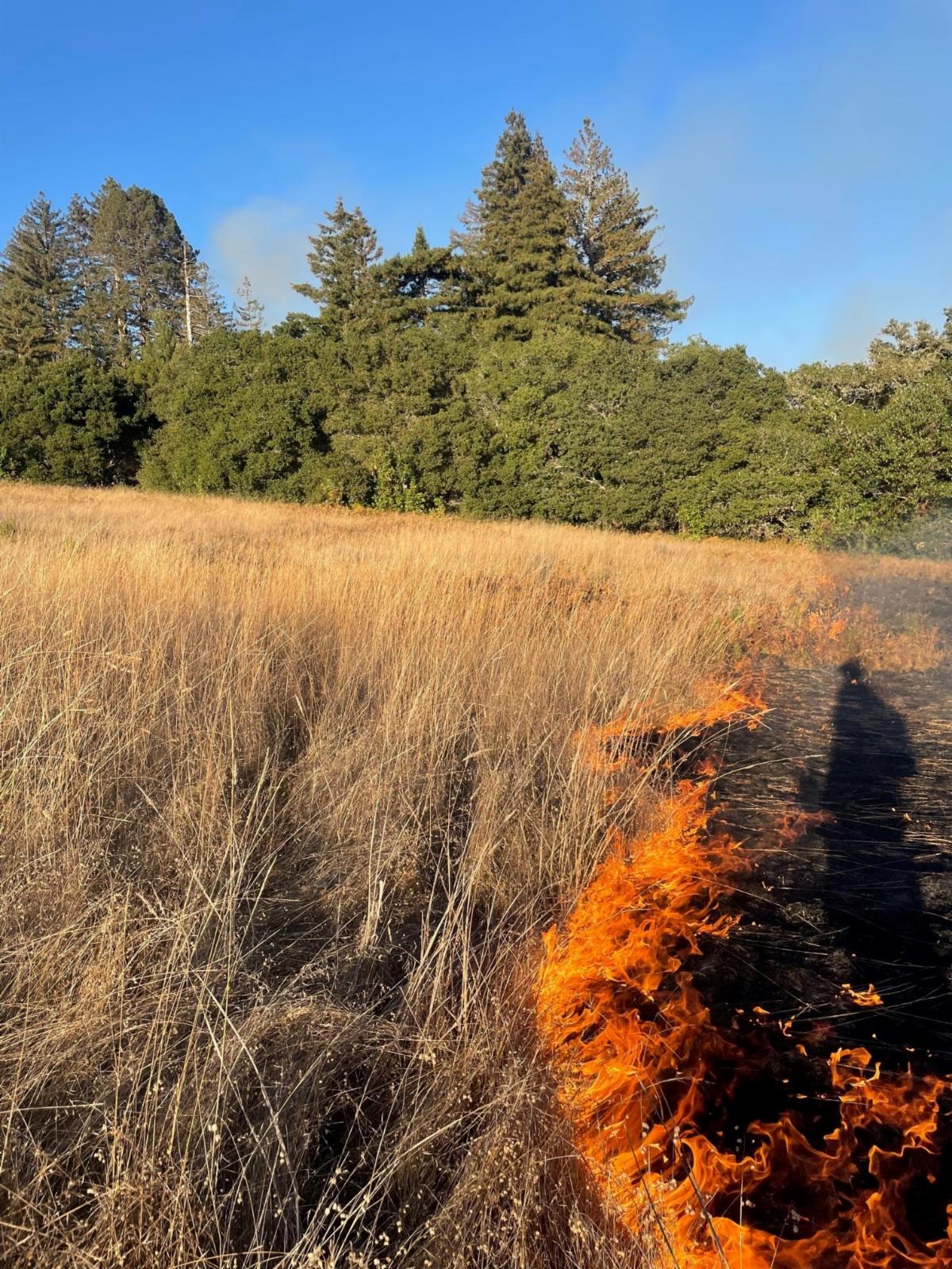 prescribed burn at Wilder Ranch in 2023
