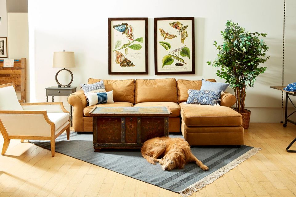 Furnished living room