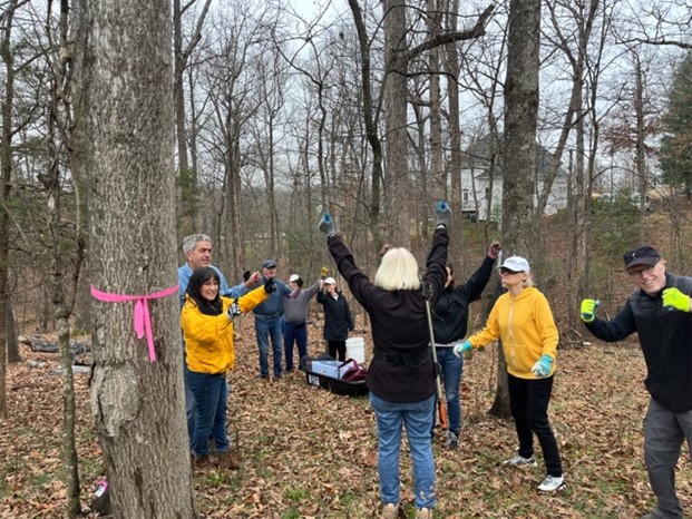 Lanternfly Traps on trees