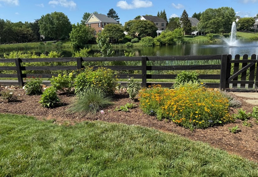 Glenmore Green Earth garden tour
