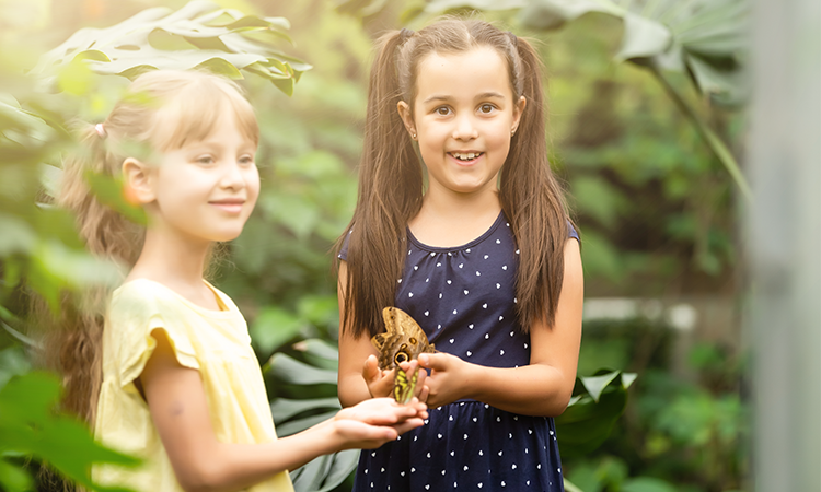 Two young girls stand in a greenhouse, one holding a large butterfly while the other reaches out to touch it.