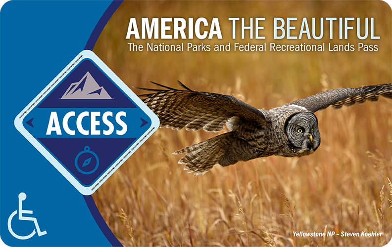 âAmerica the Beautifulâ Access Pass graphic featuring a flying owl over a grassy landscape, with a blue badge labeled âACCESSâ and a wheelchair accessibility symbol.