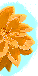 graphic-yellow-flower.gif