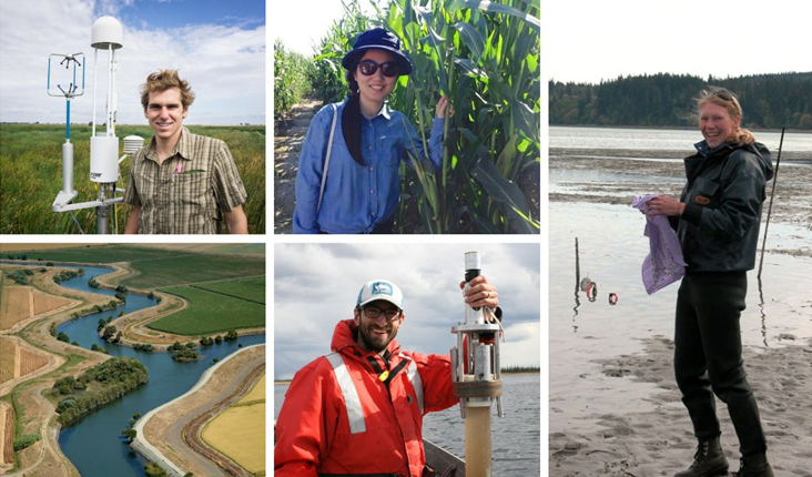 A collage of past Delta Science Fellows