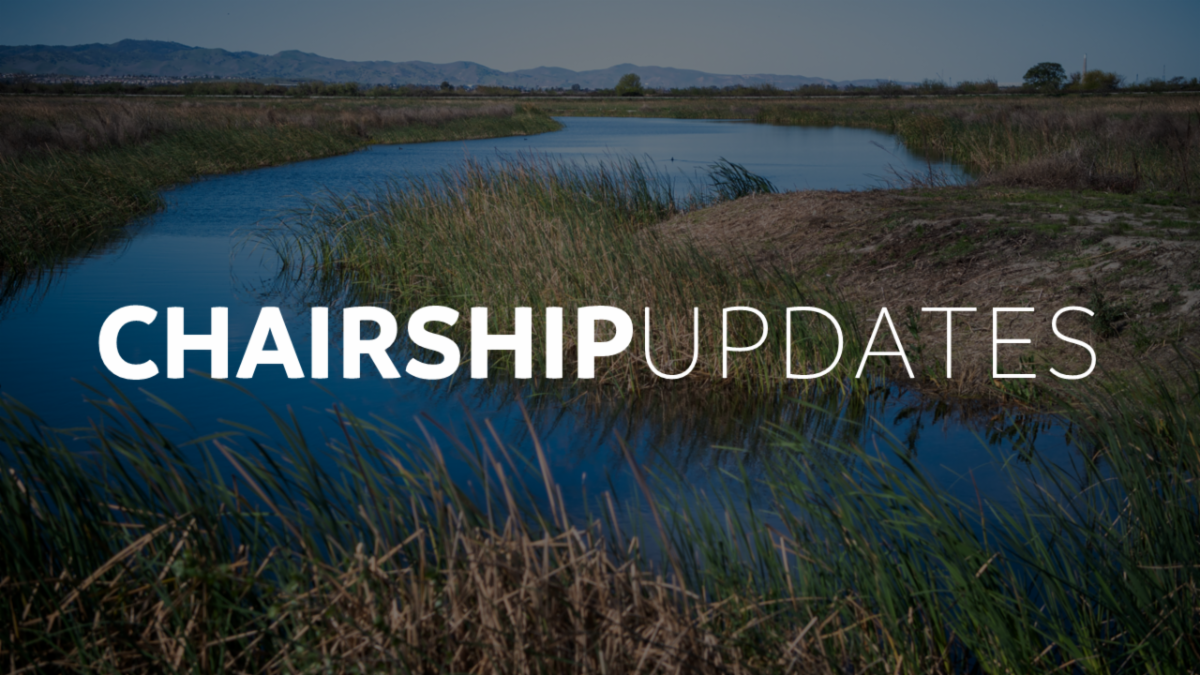 Graphic that reads "Chairship Updates"