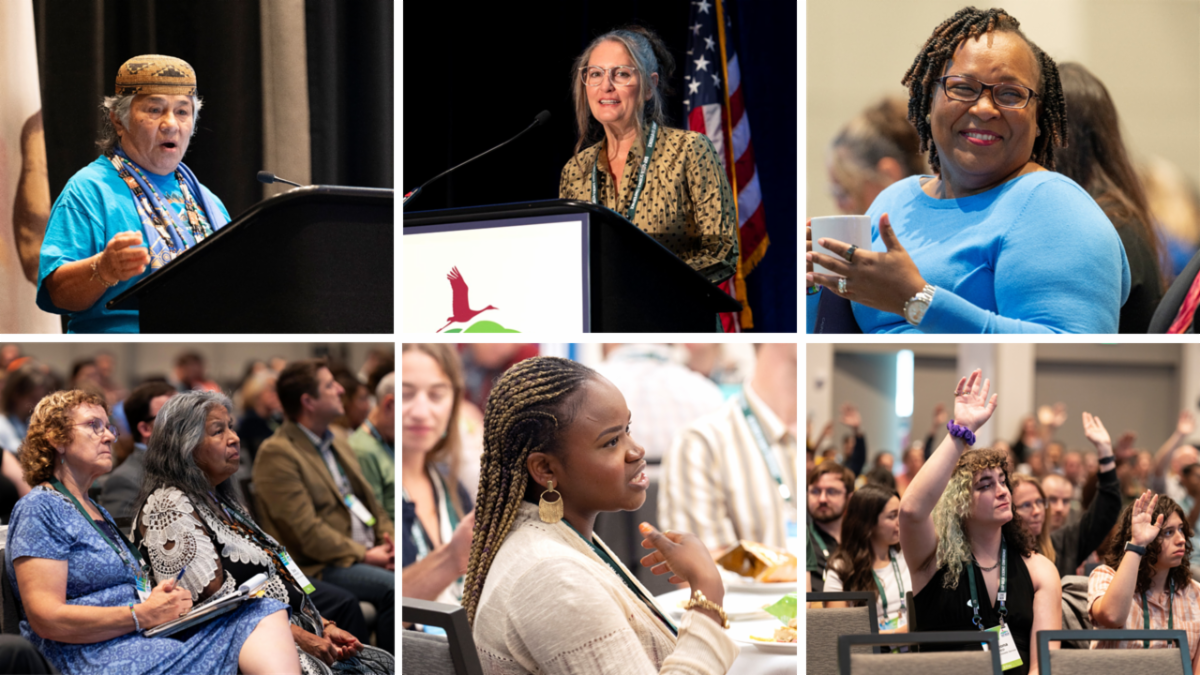 Collage of photos from the 2024 Bay Delta Science Conference