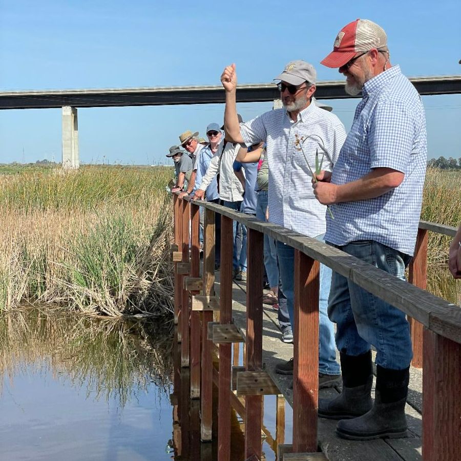 Delta ISB members on a field trip.