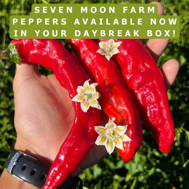 Seven Moon Farm peppers.