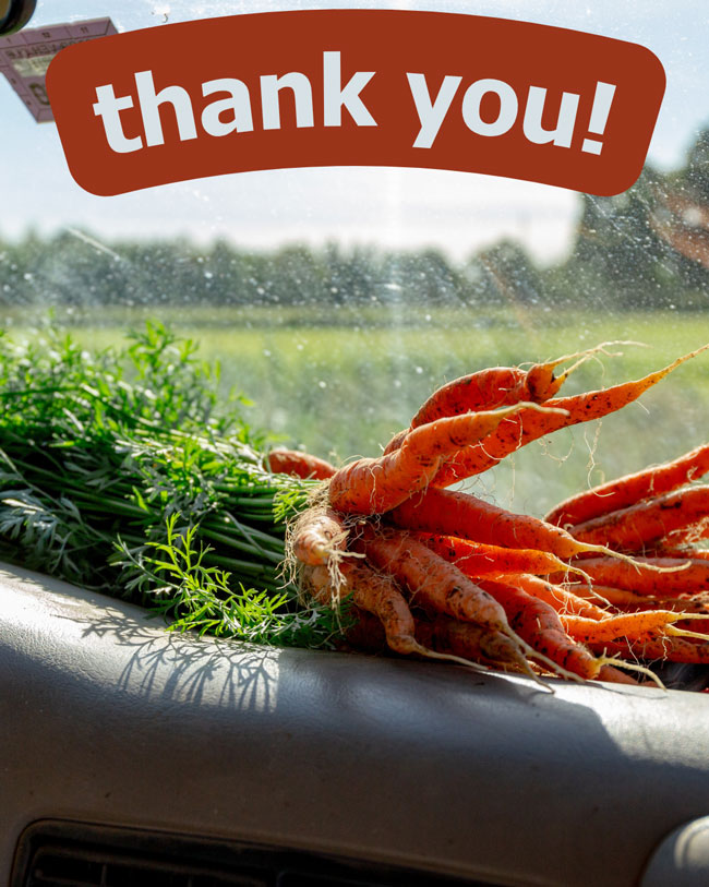 Thank you with carrots on dashboard of car.