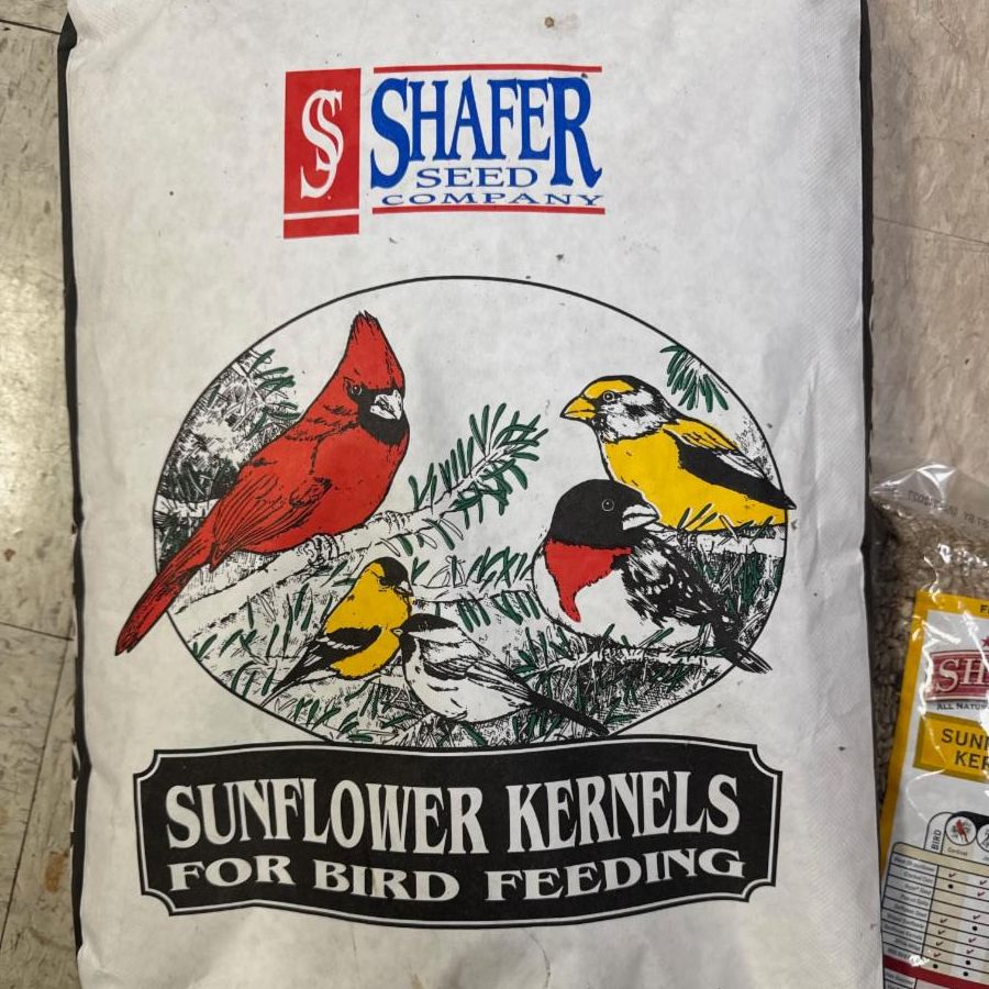 Sunflower Kernels