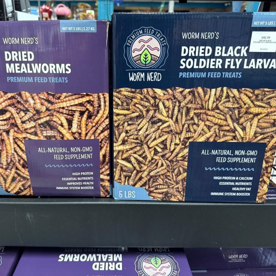 Dried Worms