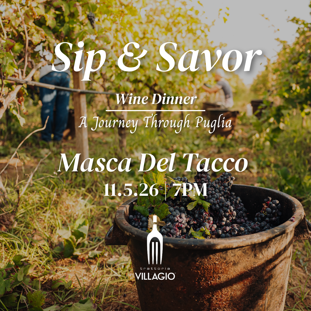 Promotional graphic for Sip & Savor Wine Dinner, A Journey Through Puglia, featuring Masca Del Tacco on 11.5.26 at 7PM at Trattoria Villagio. Background photo shows workers harvesting grapes in a sunlit vineyard, with a bucket of dark purple grapes in the foreground.