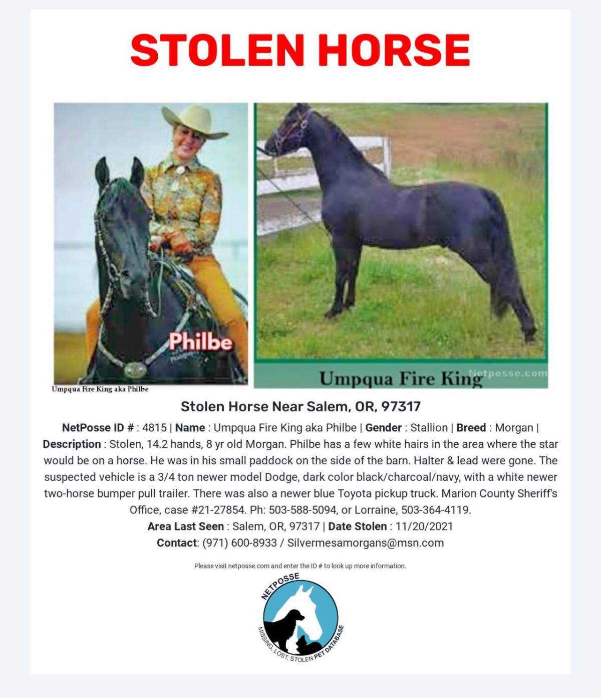 Stolen Horse.jpg