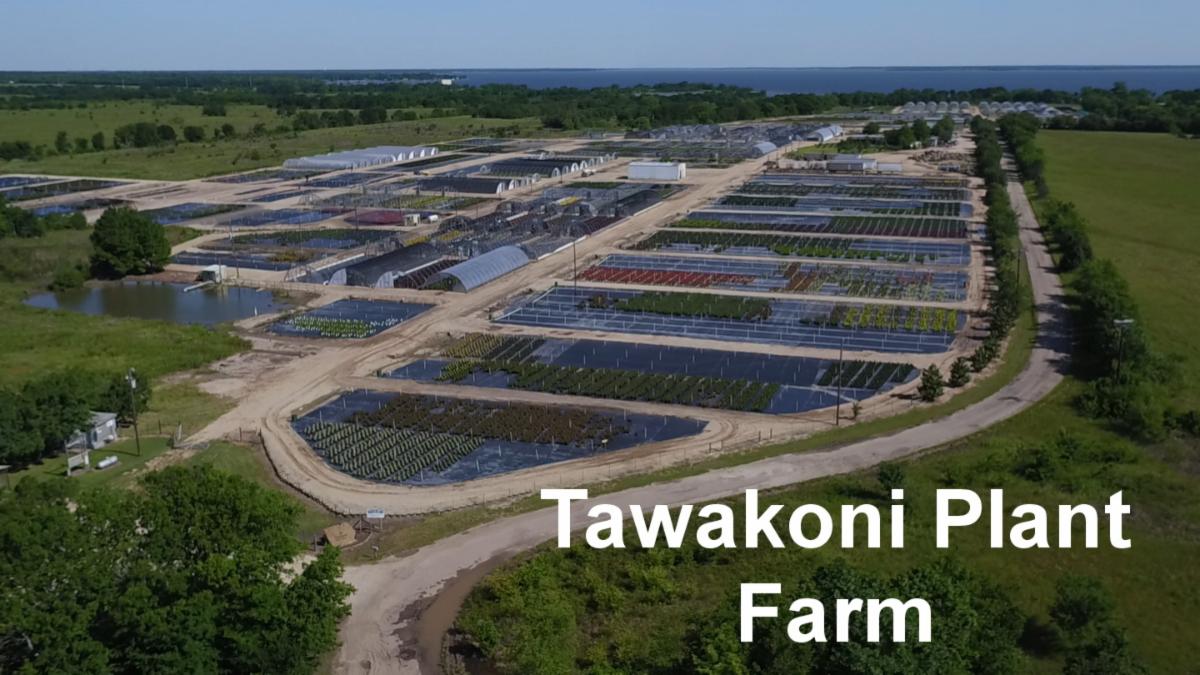 Availability 02.28.2022 Week 09