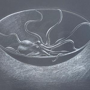 white drawing on black paper of a bowl with an octopus inside it