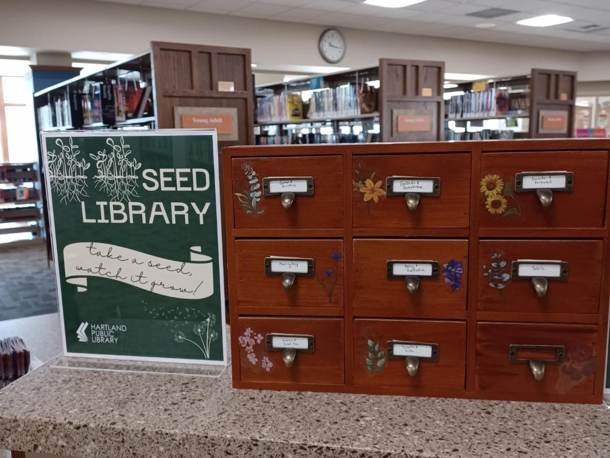 The seed library in a small card catalog at Hartland Public Library.