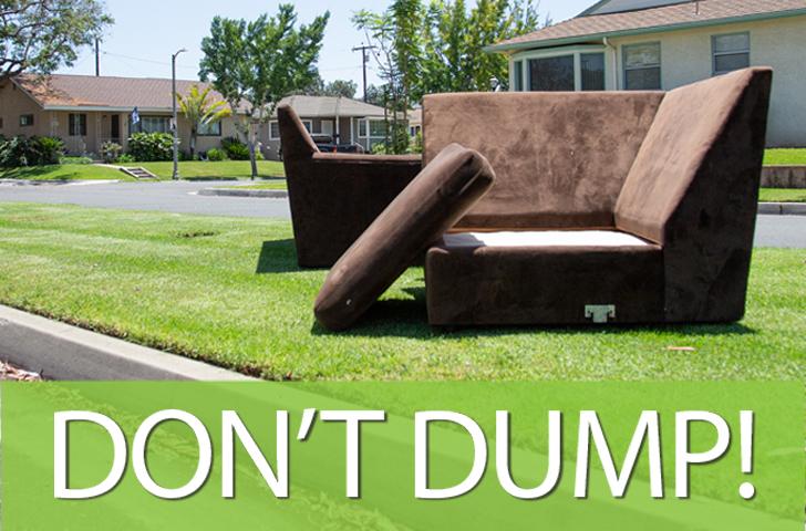 Discarded sofa on parkway with text Don't Dump