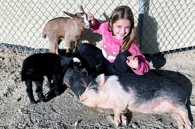 Lakewood Equestrian Center Barnyard Buddies