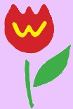 WPN Logo