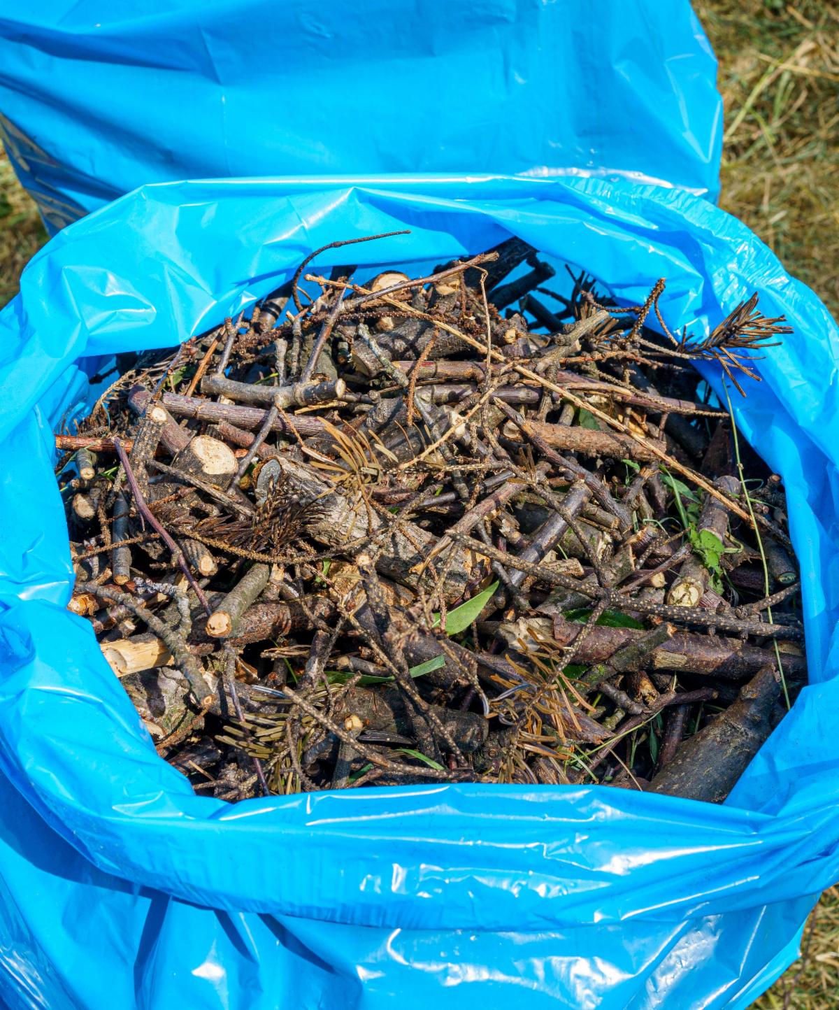 Free green waste pickup