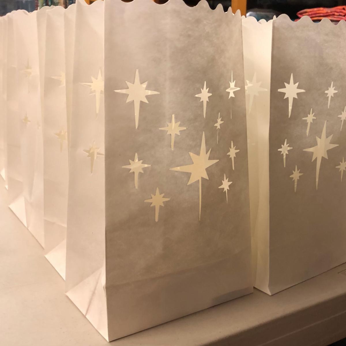 LuminaryBags2020