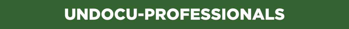 green banner that reads undocu professionals