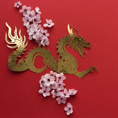 picture of paper dragon and cherry blossoms on a red background