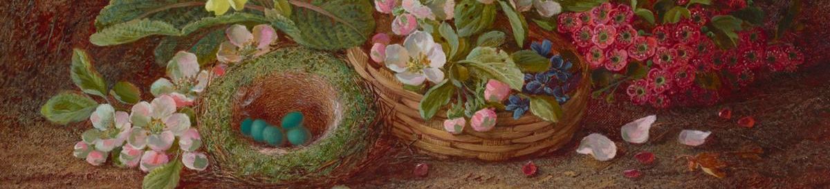 Vincent Clare - Still Life