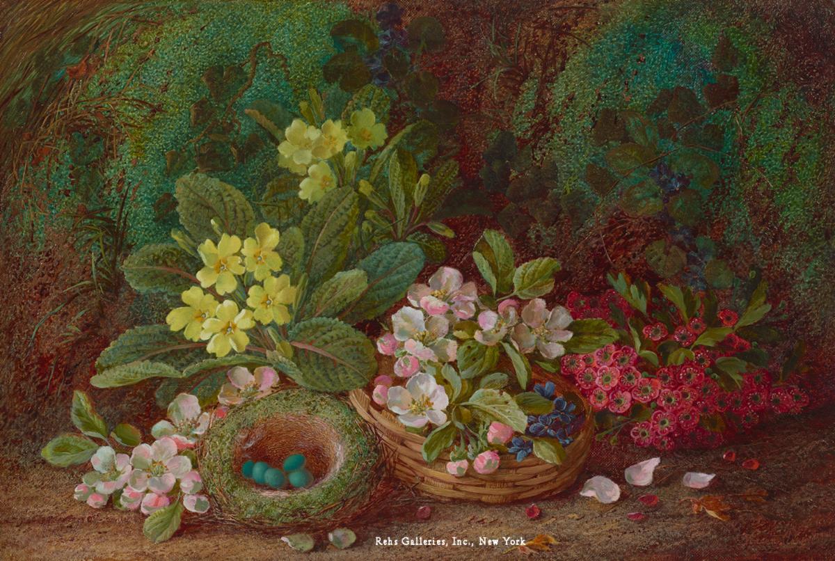 Vincent Clare - Still Life