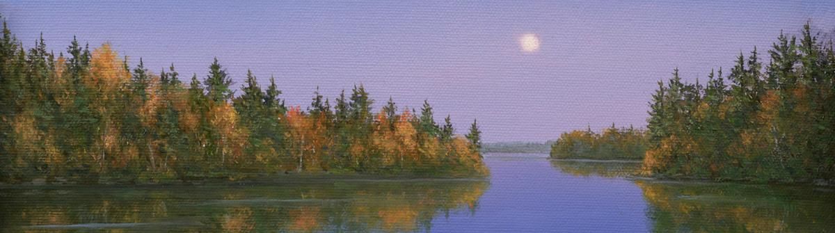 Descoeurs - Moonlight Embrace