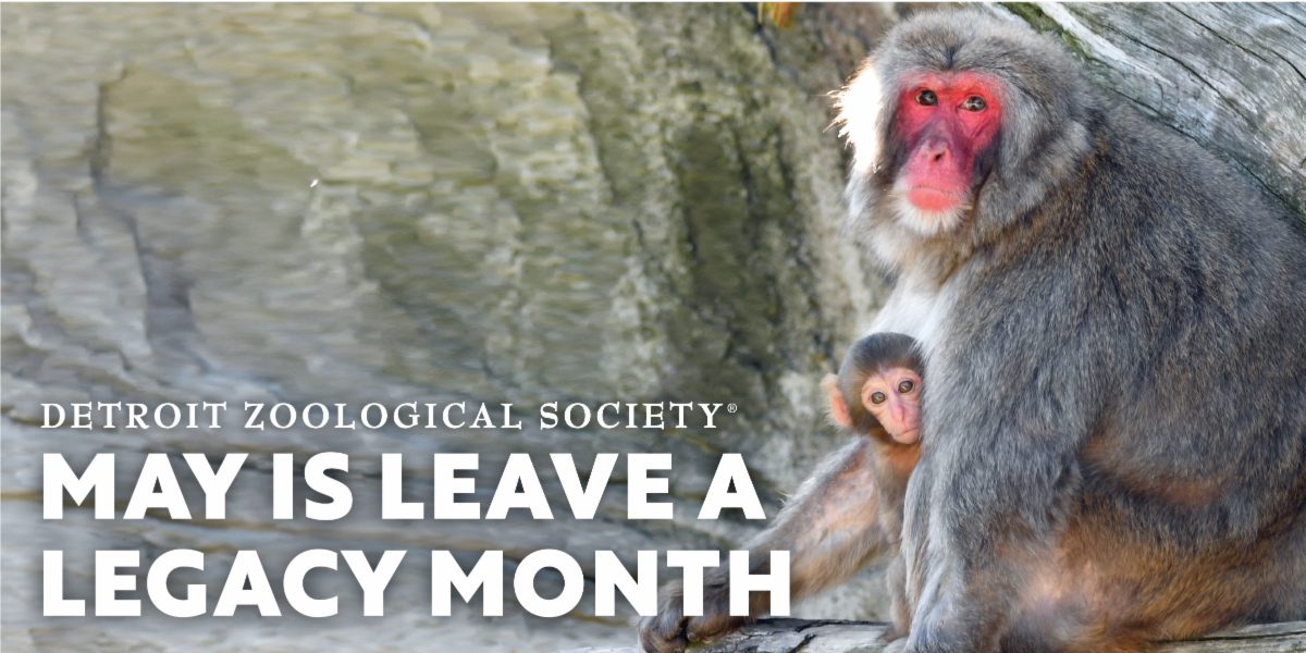 Leave a legacy with the Detroit Zoological Society