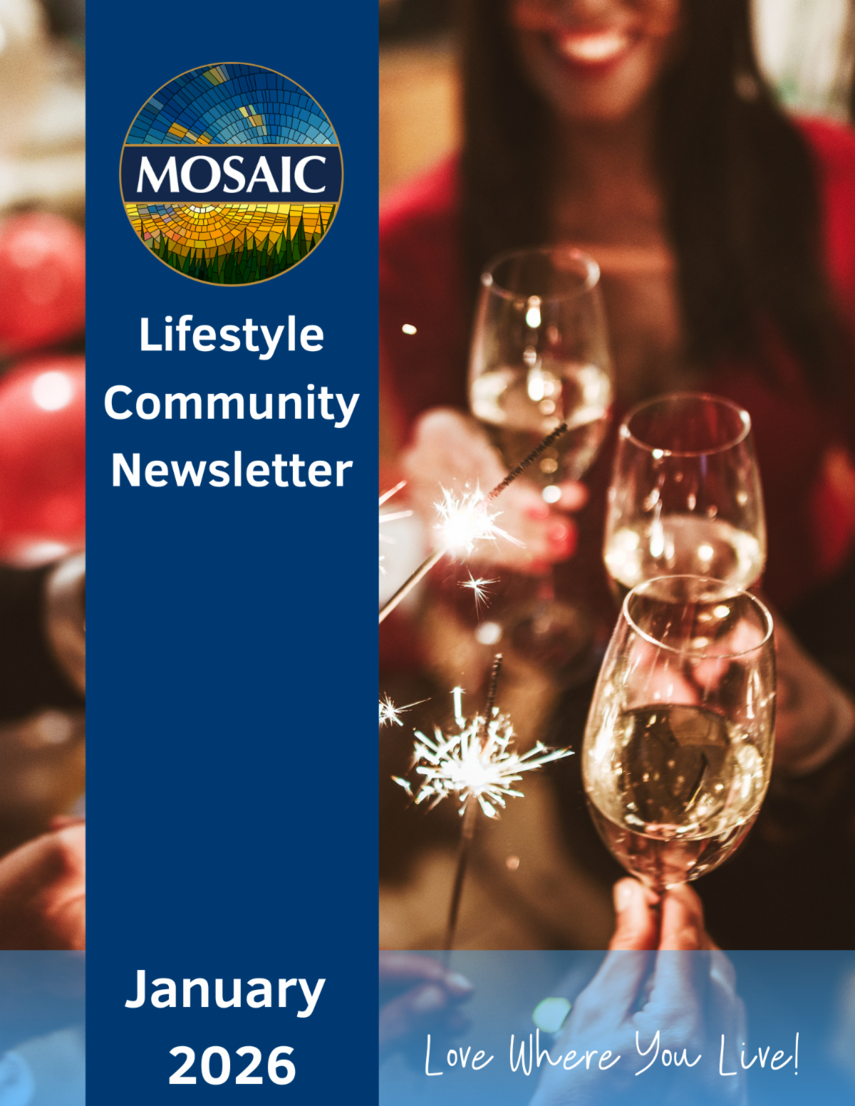 Your Mosaic January Newsletter!