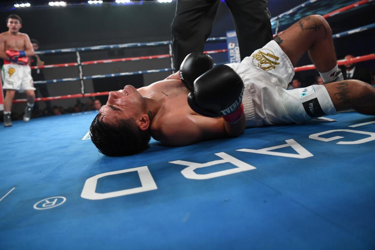 f2ce4a2b 5442 4a52 8e3e 9f1181c69839