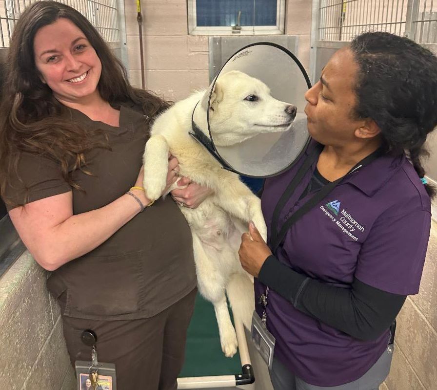 An Animal Services employee and an MCEM employee hold up a dog in the shelter.