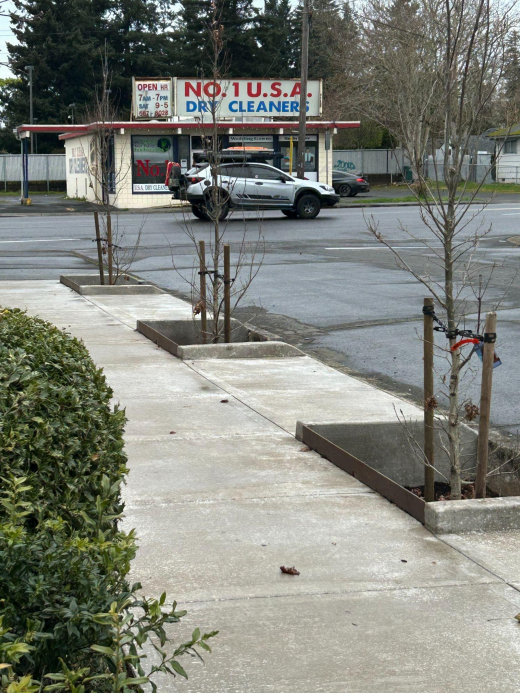 New tree wells adjacent to a road in Gresham, Oregon.