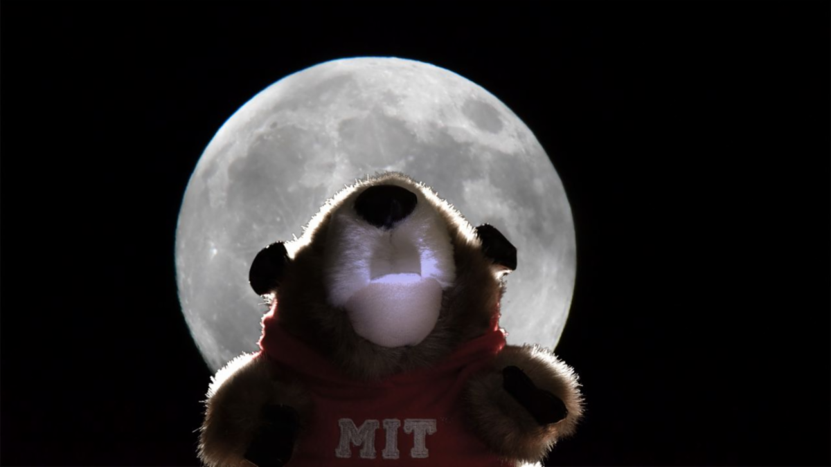 Plush beaver toy in a red "MIT" hoodie against a full moon.