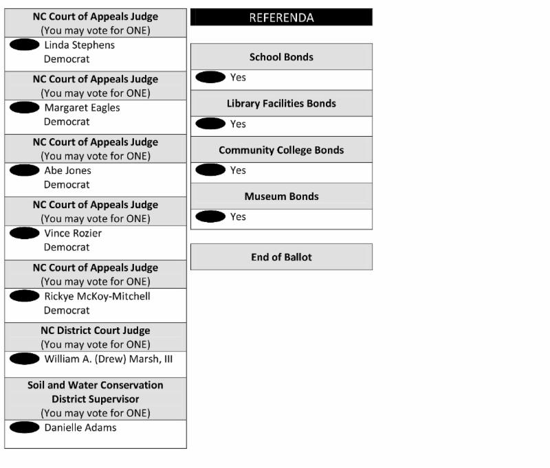 10 importance of voting picture
