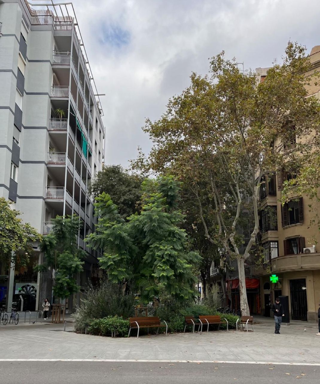 Trees and seating areas in the center of the local street.