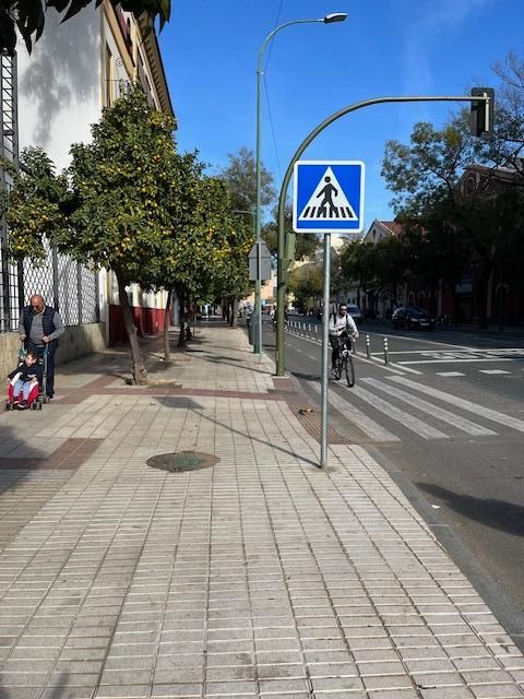 A person riding a bicycle in a separated bike lane at the same grade as the roadway.