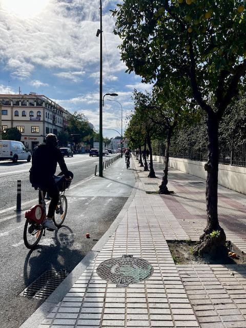 A person riding a bicycle on a section of the bike lane that transitions from the roadway to an elevated bike path. 