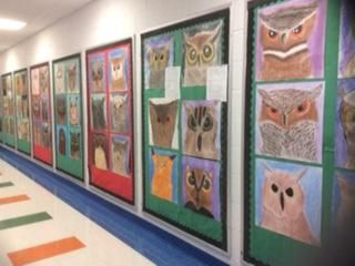 Students' drawings of owls hanging in groups of six on bulletin display boards in a school hallway