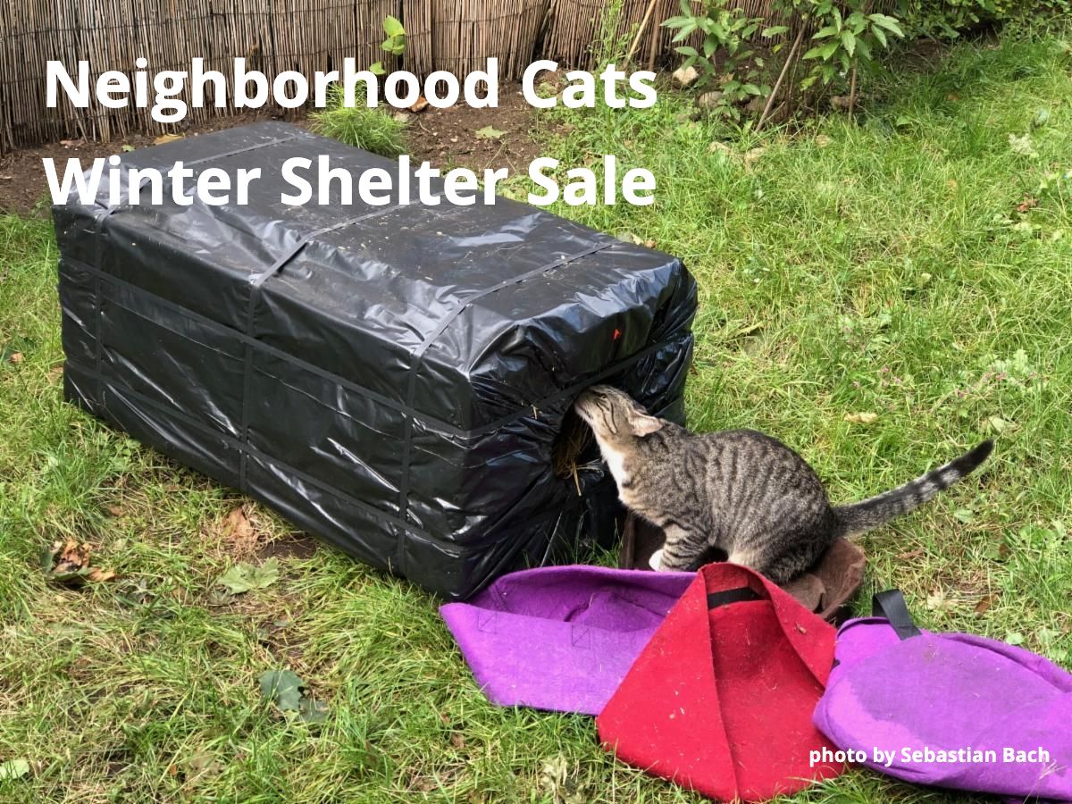 Winter Shelter Sale and straw giveaway