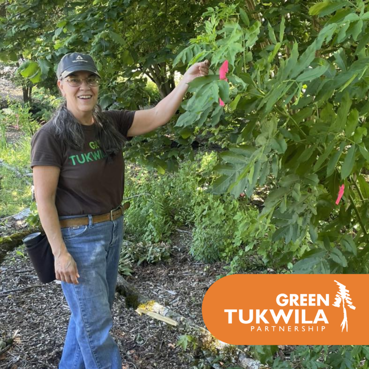 Green Tukwila Volunteer