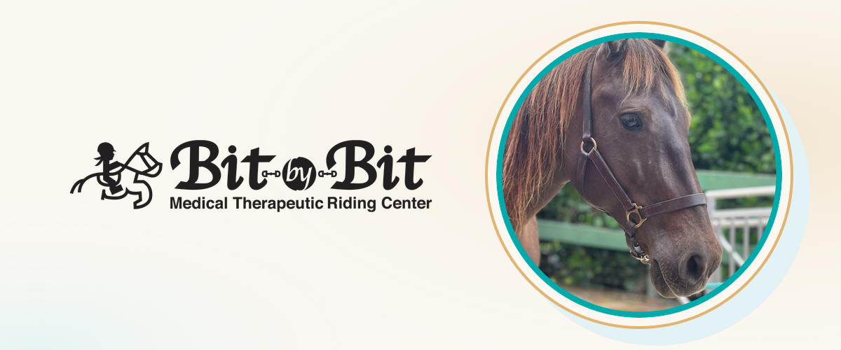 Bit-by-Bit Medical Therapeutic Riding Center logo beside a photo of Willow, one of the therapy horses