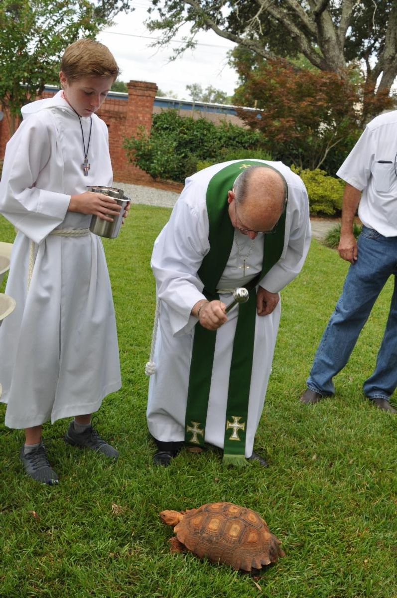 St. Paul's Albany Pet Blessing 2021