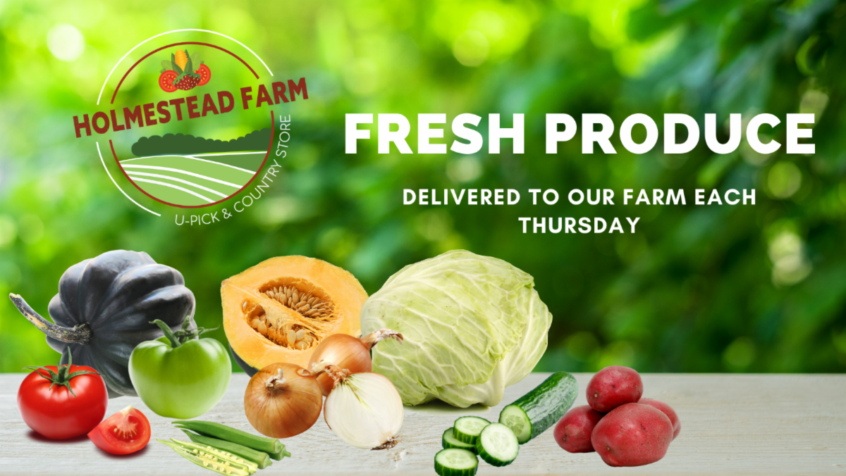 Peaches ready for UPick!