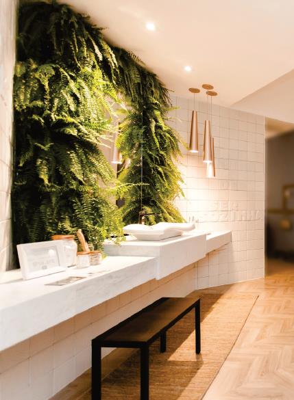 Biophilic Lighting Design - Accord Lighting