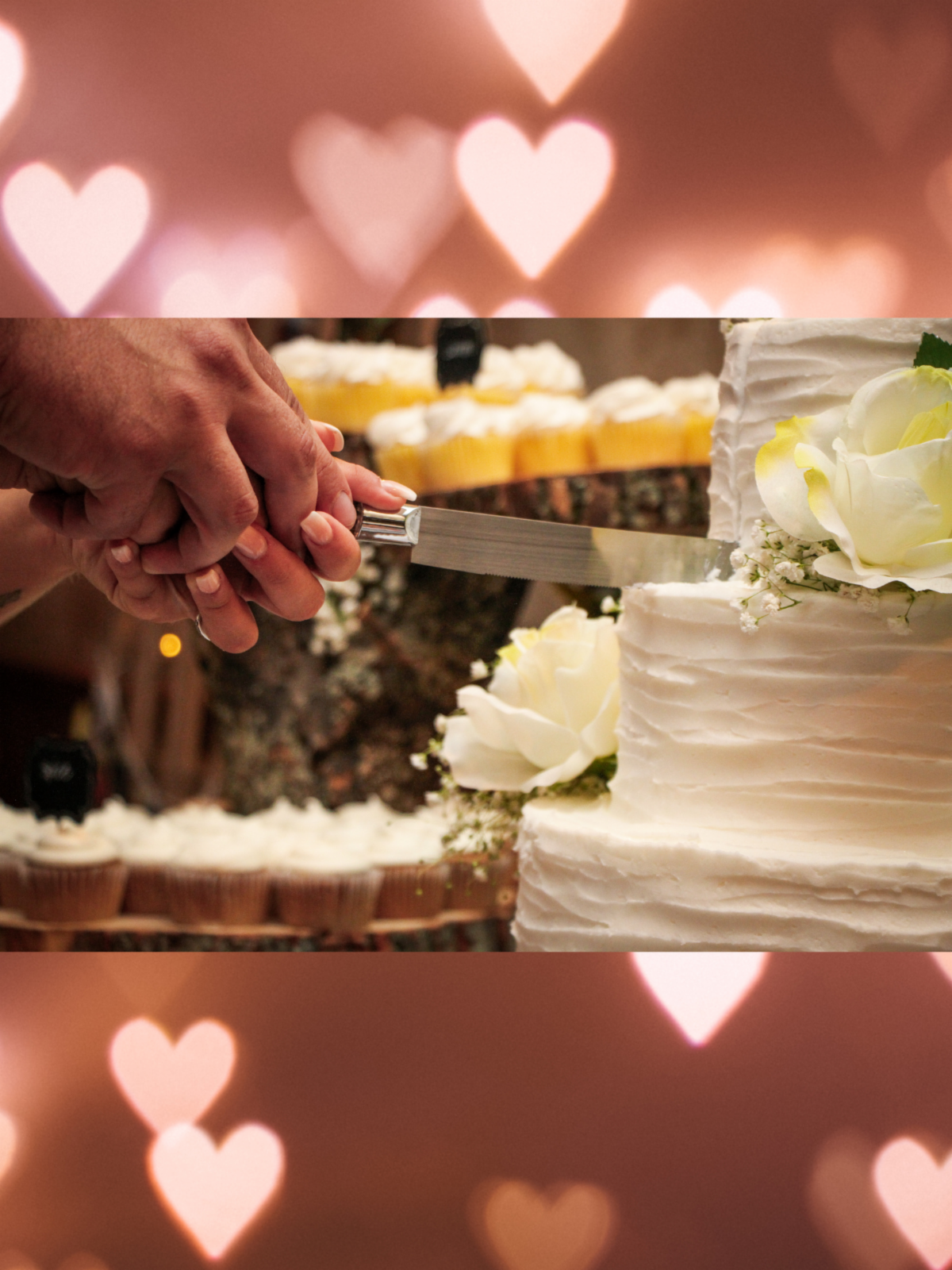 created in canva by ekw