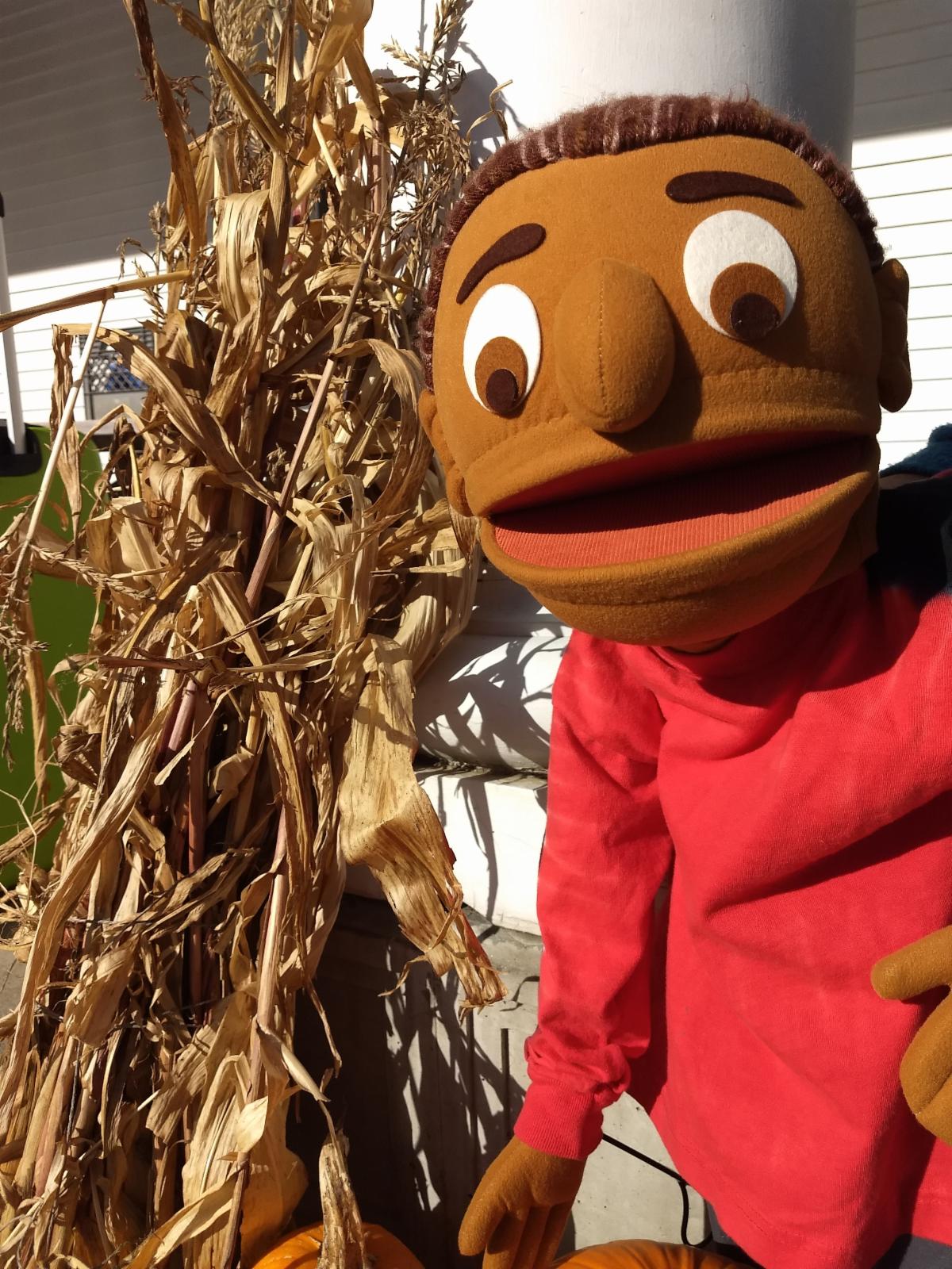 The puppet named Adam wearing a red shirt, stands by a dry cornstalk.