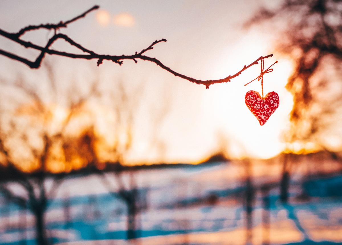 A small red heart hangs from a bear branch while the sun is shining through from a distant view of a snowy hillside